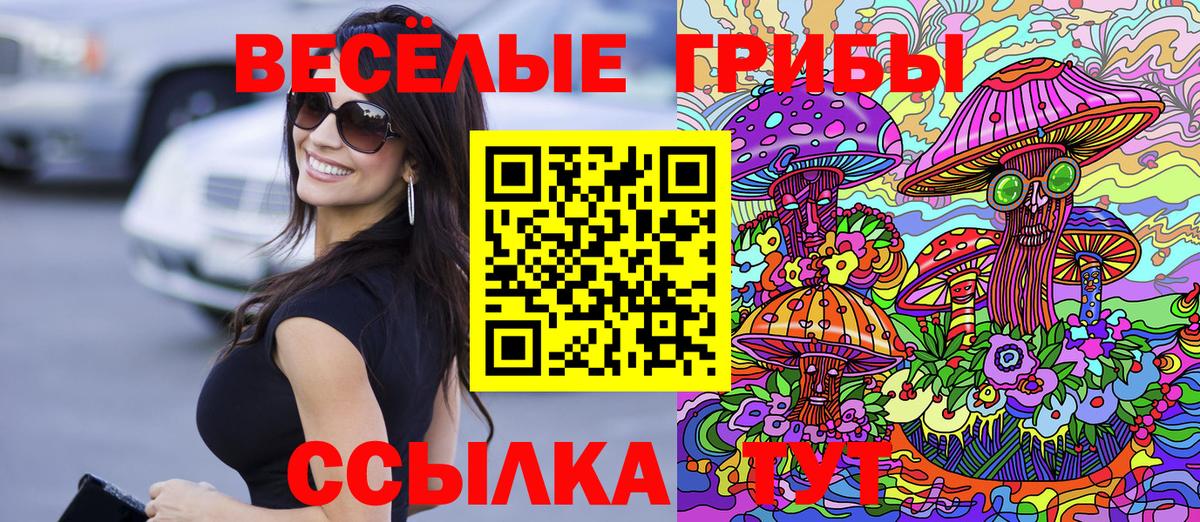 Сертолово  Галлюциногенные грибы ЛСД  Вход с VPN 